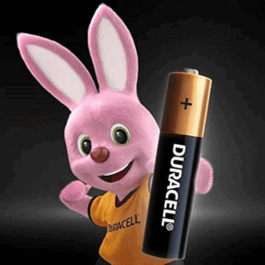 Duracell Plus Power Type AA Alkaline Battery - 12 Pack